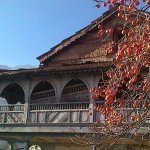 A typical house in Manali with fully grown Persimmons