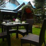 Back Lawn Sojourn