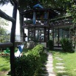 Tree House Sojourn