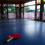 Indoor Games Room