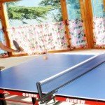 Indoor Games: table tennis